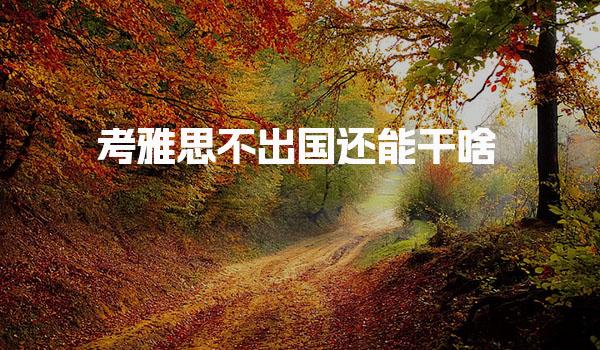 考雅思不出国还能干啥！