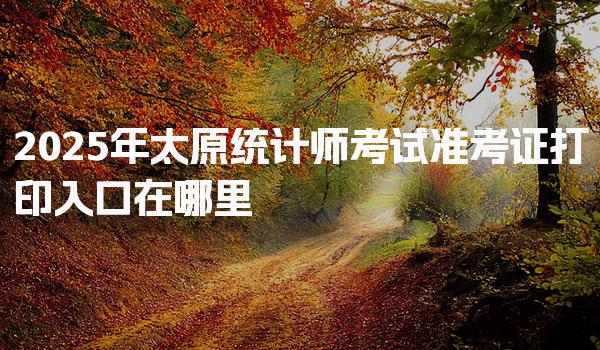 2025年太原统计师考试准考证打印入口在哪里，相关事项