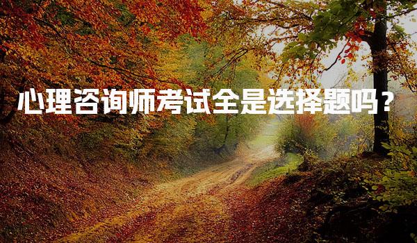 心理咨询师考试全是选择题吗？解读考试形式与内容