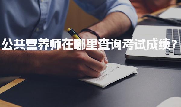 公共营养师在哪里查询考试成绩？