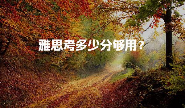 雅思考多少分够用？