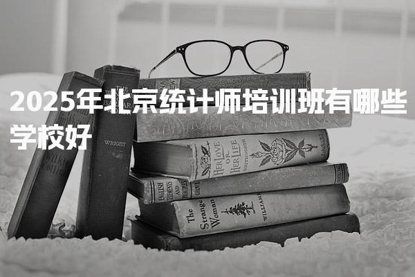 北京统计师2025年培训班有哪些学校好