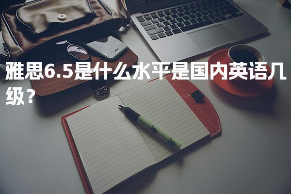 雅思6.5是什么水平是国内英语几级？