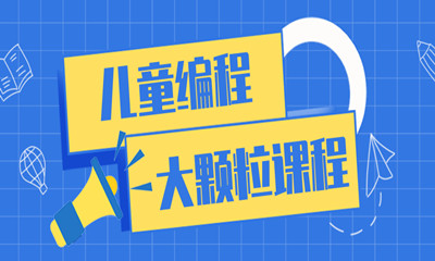 武汉大颗粒电子积木课程班