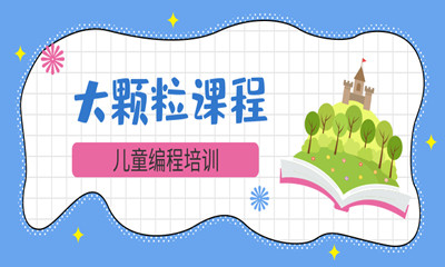 南京江宁区大颗粒电子积木课程