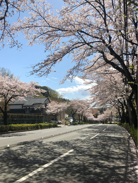 机构简介