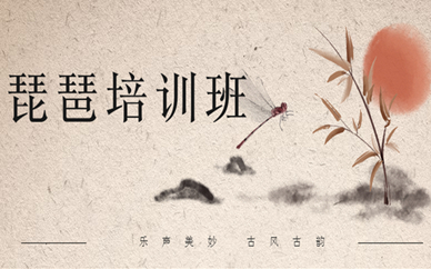 深圳龙华琵琶演奏课程