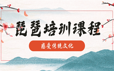 深圳宝安琵琶演奏课程