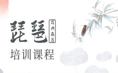 上海普陀中环琵琶演奏课程