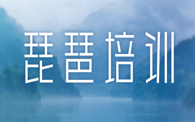 北京朝阳琵琶演奏课程