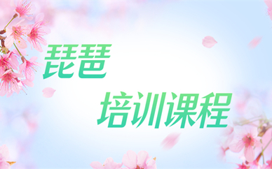 杭州余杭琵琶演奏课程