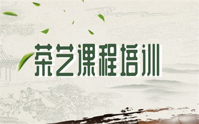 上海松江茶艺课程培训