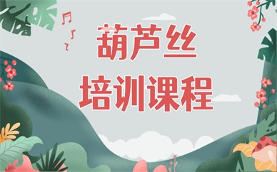 上海黄浦秦汉胡同葫芦丝课程
