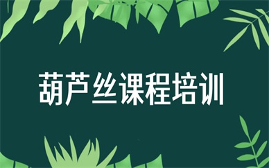 上海浦东富荟葫芦丝小班课
