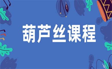 上海闵行金汇葫芦丝培训班