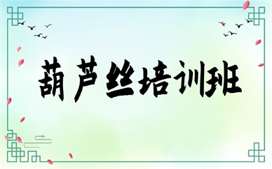 广州海珠葫芦丝小班课