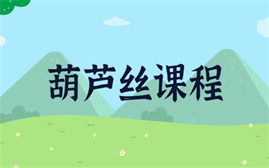 上海浦东金桥葫芦丝小班课