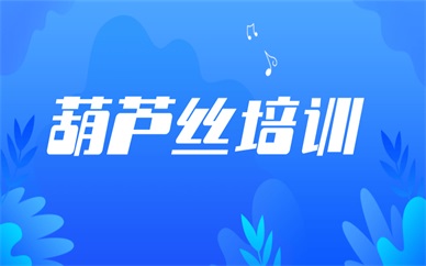 佛山葫芦丝培训班