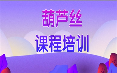 杭州下城西湖葫芦丝小班课