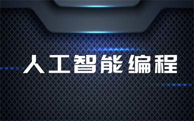广州荔湾人工智能少儿编程课程