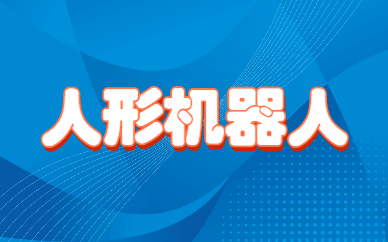 厦门思明乐博人形机器人课程班
