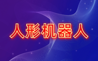 厦门乐博人形机器人少儿编程