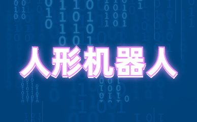 安徽乐博人形机器人编程培训