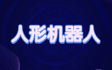 广州白云乐博人形机器人少儿编程