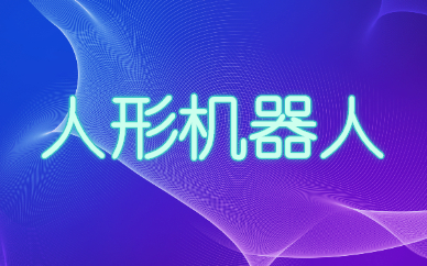 合肥乐博人形机器人少儿编程