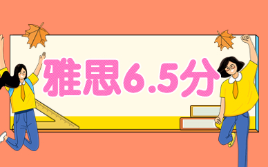 合肥庐阳新东方雅思6.5分培训