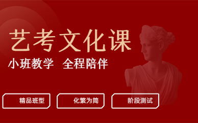 武汉江夏艺考文化课培训课程