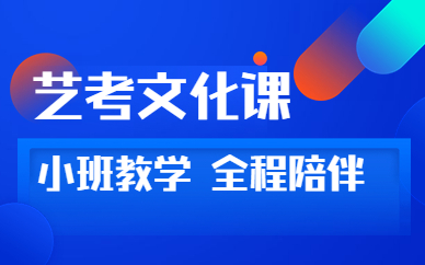 重庆科技学院新东方艺考文化课培训