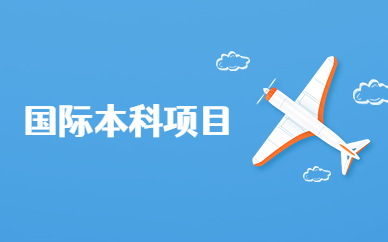 上海闵行朗阁国际本科项目