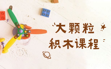 沈阳大颗粒积木培训