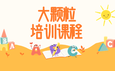 厦门大颗粒积木培训