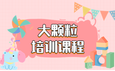 杭州西湖乐博大颗粒积木班