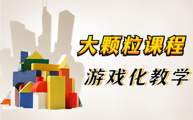 南京雨花台乐博大颗粒积木班