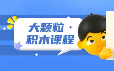 大连中山乐博大颗粒积木班
