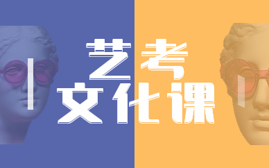 安阳文峰东风路艺考文化课辅导班
