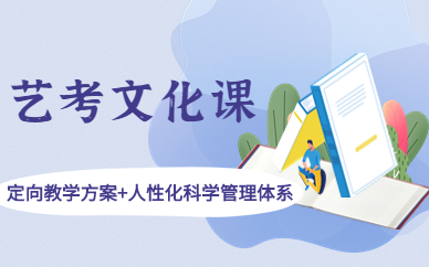 连云港艺考文化课辅导班