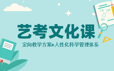 西安莲湖艺考文化课培训班
