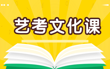 吉林敦化市艺考文化课辅导