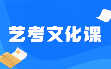 长春农安县艺考文化课辅导
