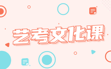 吉林公主岭艺考文化课辅导班