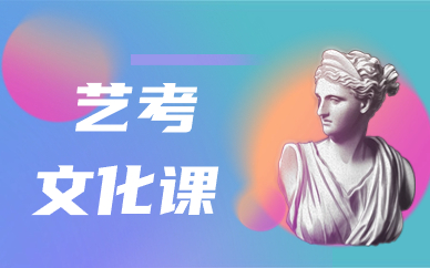 重庆沙坪坝艺考文化课补习班