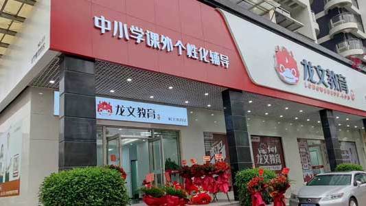 龙文教育机构简介