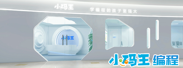 小码王